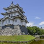 ［６］初夏の週末は、「古代蓮」と「のぼうの城」をハシゴしよう！！