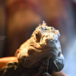 ［６］イグアナを恐竜のように撮影する！！