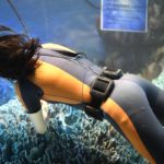 ［６］水族館の水槽の「外」と「中」の人の姿！？