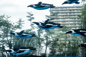 ［６］サンシャイン水族館のペンギンたちが、群れで飛ぶ！！