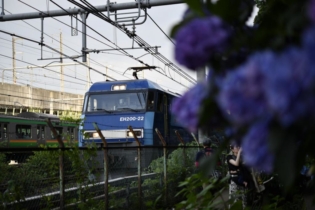 ［６］紫陽花ロードと各種鉄道のコラボ写真！！