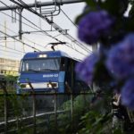 ［６］紫陽花ロードと各種鉄道のコラボ写真！！