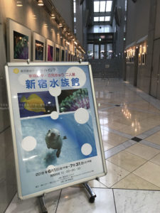 ［６］「新宿水族館」の写真展で写真のお勉強