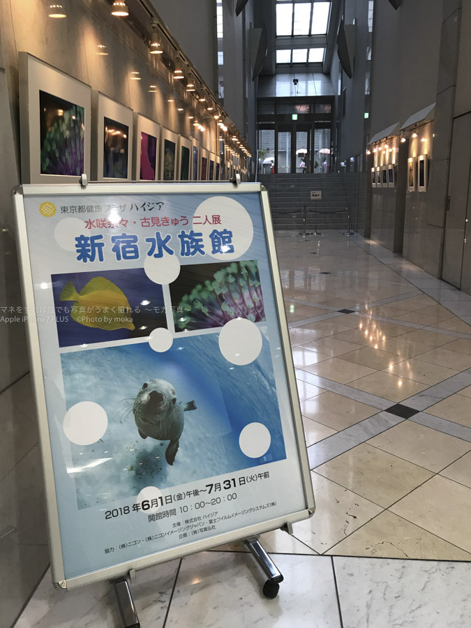 ［６］「新宿水族館」の写真展で写真のお勉強