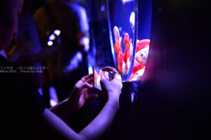 ［６］写真を撮っているスマホの液晶画面を撮る！！