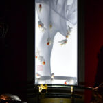 ［６］金魚と掛け軸と写真