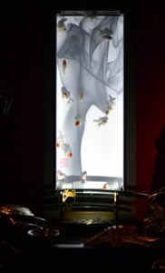 ［６］金魚と掛け軸と写真