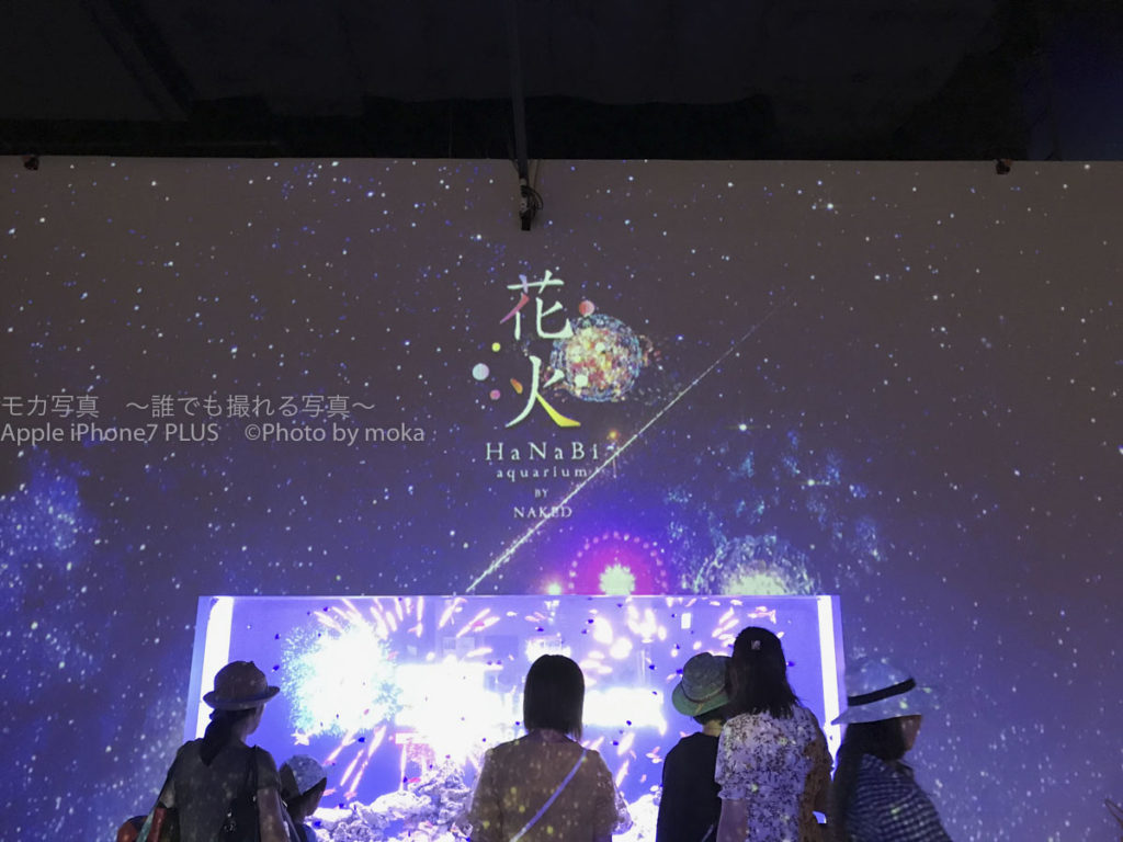 ［６］アクアパーク品川の水族館で、花火と夏のイメージを満喫！