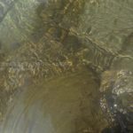 ［６］猛暑の夏、防水カメラを持って親子で川遊び♫