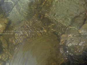 ［６］猛暑の夏、防水カメラを持って親子で川遊び♫