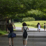 ［６］真夏のイチョウ並木と後ろ姿