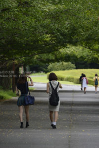 ［６］真夏のイチョウ並木と後ろ姿