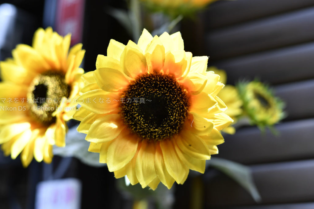 ［６］ひまわりの花は夏が似合う！！