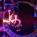 ［６］怪しげで幻想的なクラゲの姿