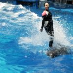 ［６］イルカのトレーナーとカメラマン！？