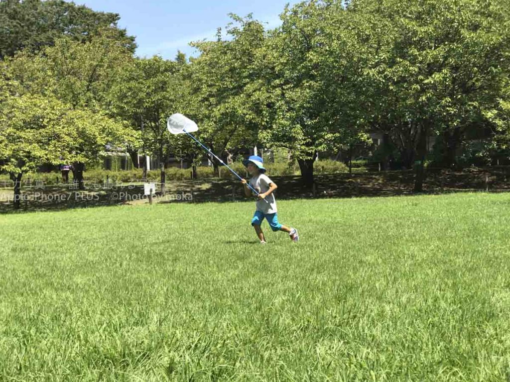 ［６］虫取り網持って走り回る子供をiPhoneで撮ってみた！