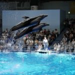 ［６］夏休み最期の水族館写真！！