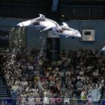 ［６］カマイルカの大ジャンプ！！