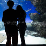 ［６］サンシャイン水族館の癒し空間を切り撮る。