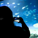 ［６］水族館で写真撮影を楽しもう！！