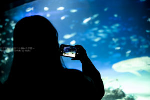 ［６］水族館で写真撮影を楽しもう！！