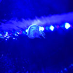 ［６］クラゲのような水槽にクラゲがユラユラ♪