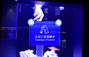 ［６］思わずシャッターを連写・・展示物は「手」