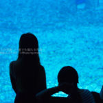 ［６］沖縄にしかない風景を切り撮りたい！