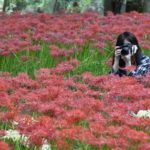 ［６］曼珠沙華とカメラ女子！！