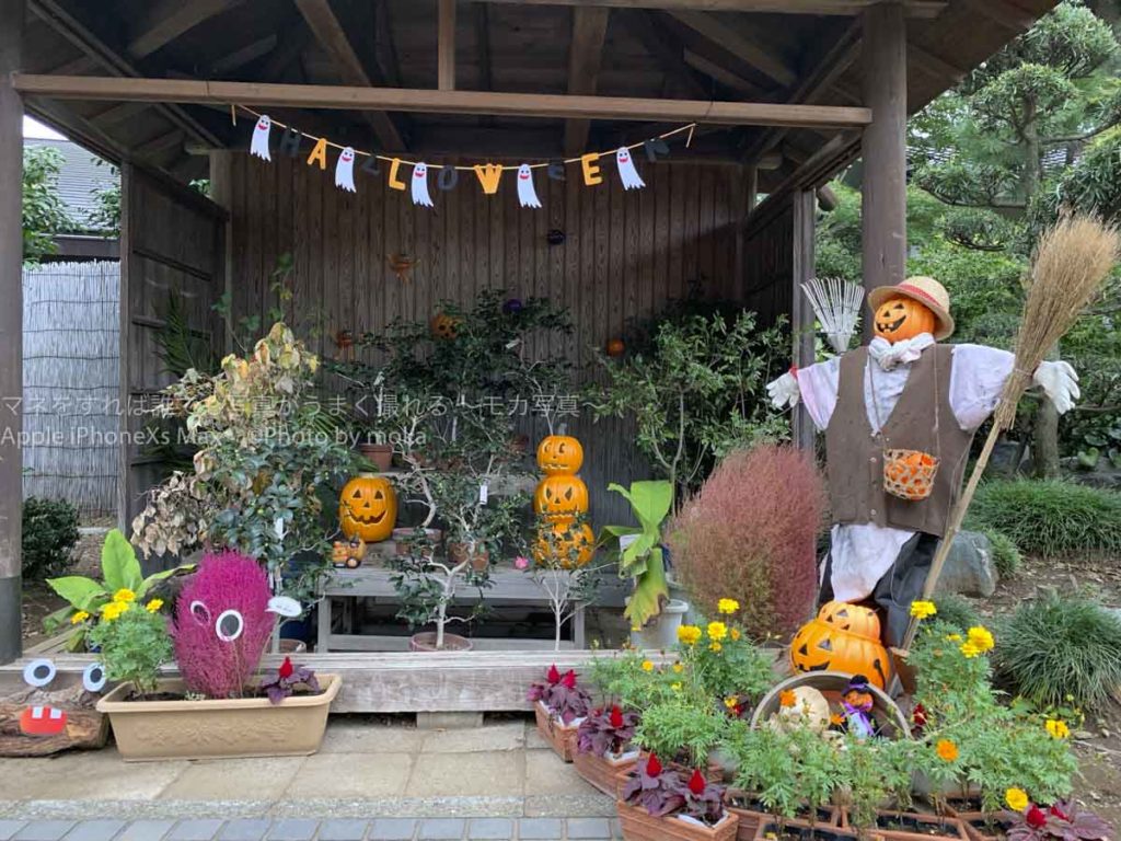 ［６］和風のハロウィンを撮る！！