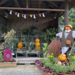 ［６］和風のハロウィンを撮る！！