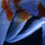 ［６］ニコンカレッジで写真を学ぶ理由！？