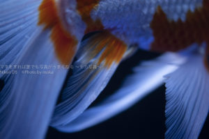 ［６］ニコンカレッジで写真を学ぶ理由！？