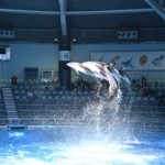 【必見!】Nikon Z7とNikon D850の高感度を比べてみた