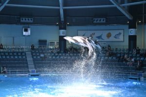 【必見！】Nikon Z7とNikon D850の高感度を比べてみた