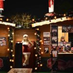 ［6］今年のクリスマスはNikon Z7が大活躍の予感！？