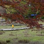 ［６］カメラ片手に真っ赤に色づいた紅葉の下を歩く