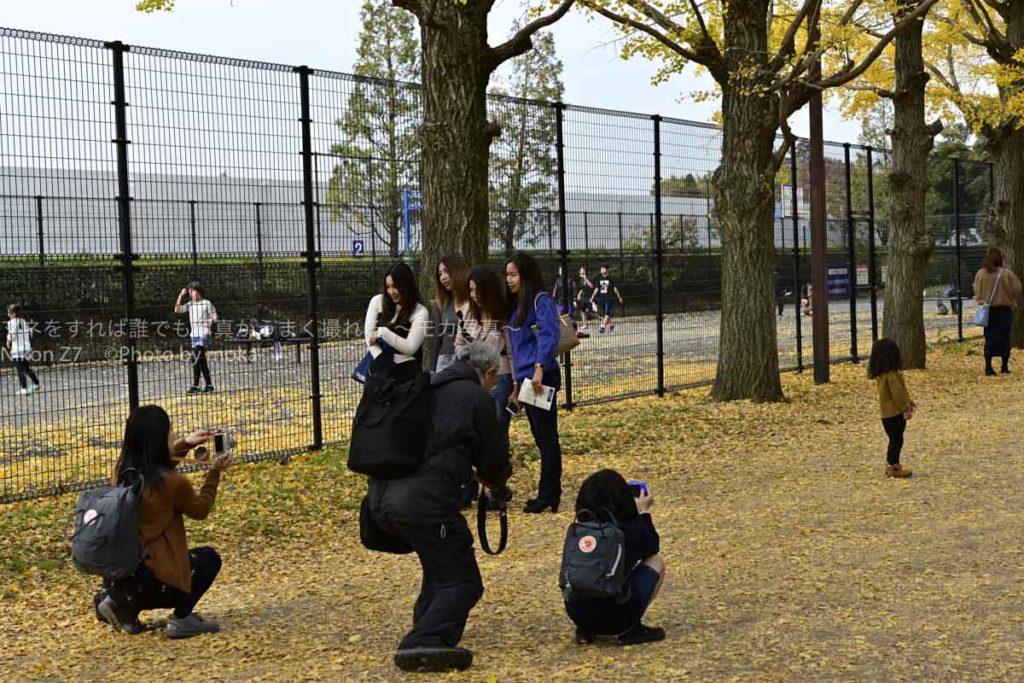［６］昭和記念公園のイチョウ並木で記念撮影！！
