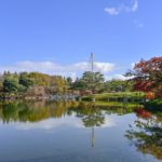 【紅葉をドラマティックに撮る】Nikon Z7で紅葉を撮ろう