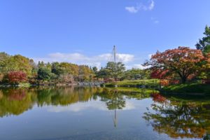 【紅葉をドラマティックに撮る】Nikon Z7で紅葉を撮ろう