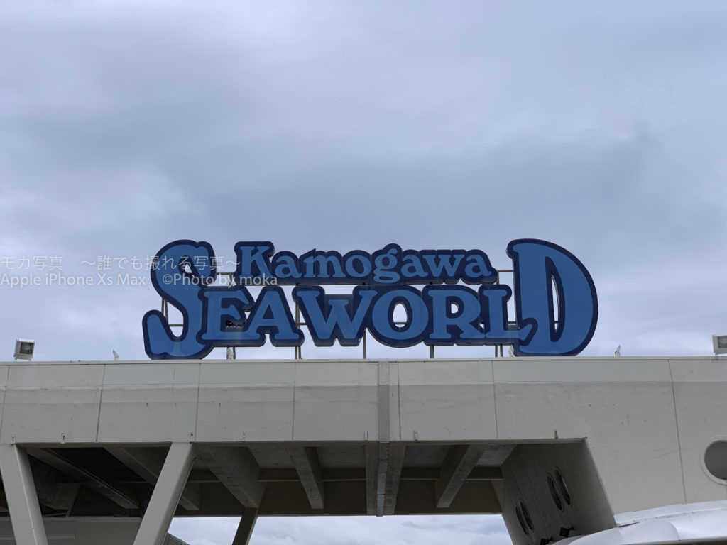 ［６］鴨川シーワールドで見つけた「ニモ」と「ドリー」