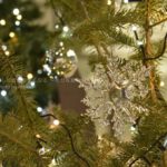 ［６］２０１８年、ハッピークリスマス！！