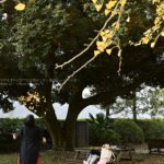 ［６］イチョウのシャワーを浴びよう♫