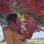 ［６］都心らしい真冬の紅葉！！