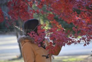 ［６］都心らしい真冬の紅葉！！