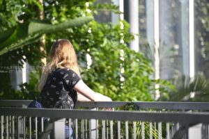西日を浴びて輝く金髪の女性の後ろ姿