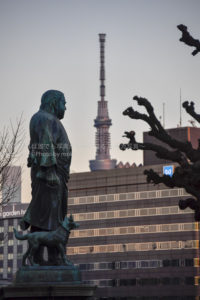 ［６］2019年、謹賀新年