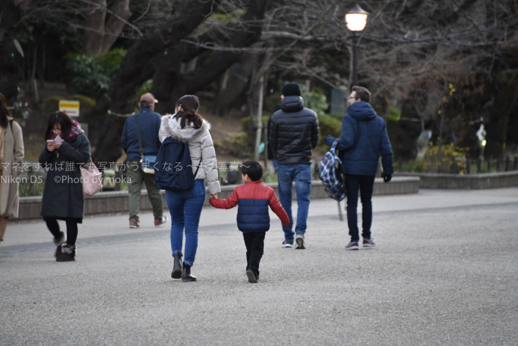 ［６］２０１９年、ポートレート写真をジャンジャン撮ろう！！