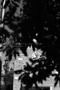 ［６］モノクロ写真の撮影にハマリ気味！！