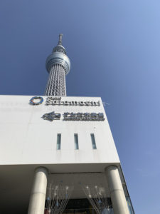 ［６］スカイツリーと梅の花と桜の花